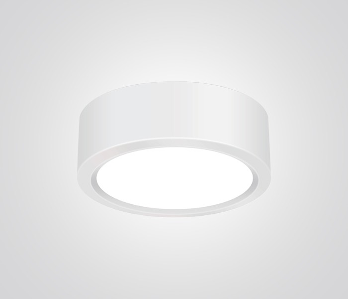 SURFACE MOUNTED EMERGENCY DOWNLIGHT